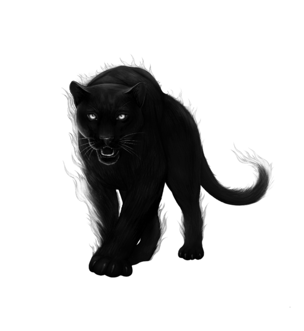 Black Panther